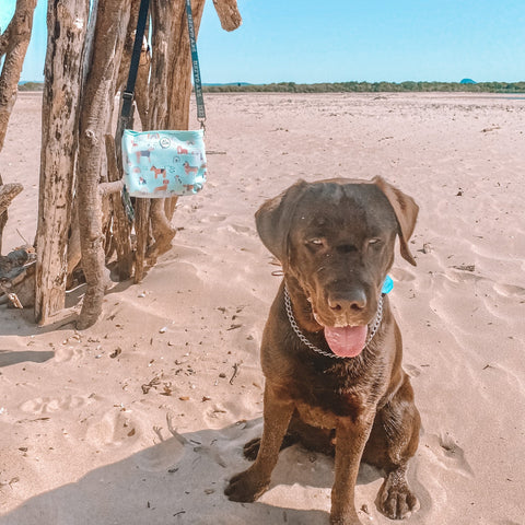 The Rocky Sand Free Dog Towel - Image 7