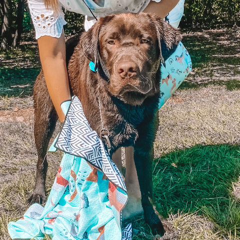 The Rocky Sand Free Dog Towel - Image 4